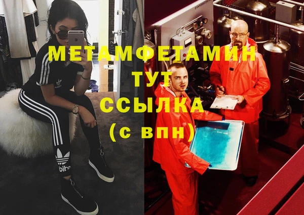 индика Новодвинск