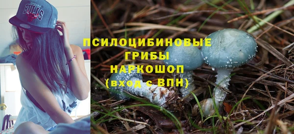 синтетический гашиш Алексеевка